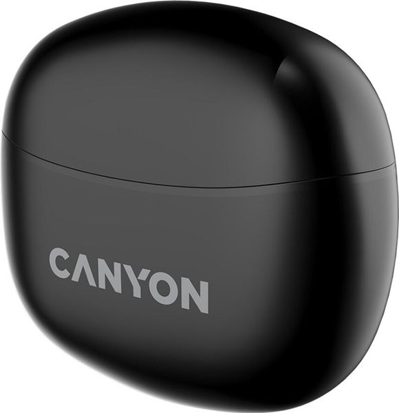 Canyon TWS-5 Black (CNS-TWS5B) F_139871 фото