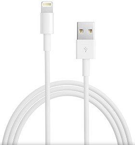 Apple USB для iPhone 5/iPad4 Lightning USB (MD818) 31446 фото