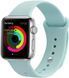 UWatch Silicone Strap for Apple Watch 42/44 mm Turquoise 101392 фото 1