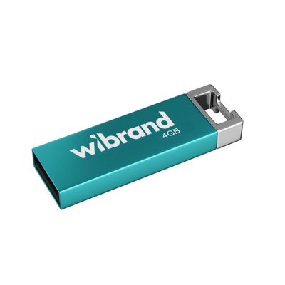 Wibrand USB 2.0 Chameleon 4Gb Light Blue 144756 фото