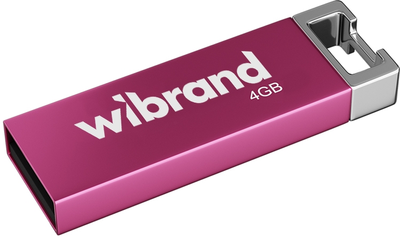 Wibrand USB 2.0 Chameleon 4Gb Pink 144751 фото