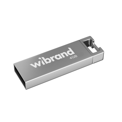 Wibrand USB 2.0 Chameleon 4Gb Silver 144752 фото