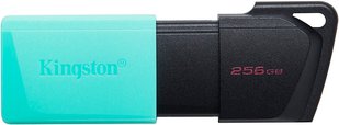 Kingston DT Exodia M USB 3.2 256GB Black/Teal 141975 фото