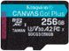 Kingston microSDHC/SDXC Canvas Go Plus 170R A2 U3 V30 Single Pack 256Gb 119826 фото 1