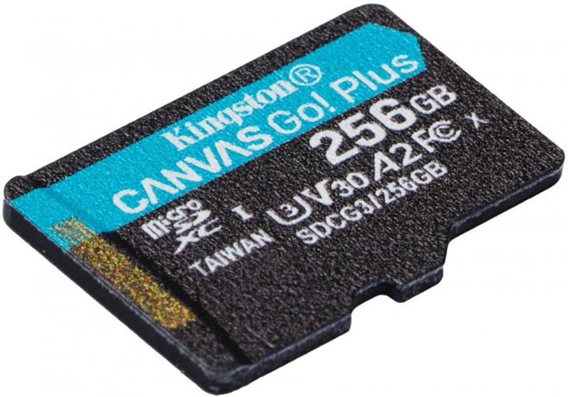 Kingston microSDHC/SDXC Canvas Go Plus 170R A2 U3 V30 Single Pack 256Gb F_119826 фото