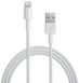 Apple Lightning to USB 2.0 1m White F_45170 фото 2
