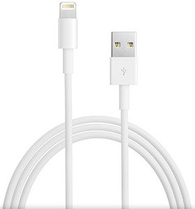 Apple USB для iPhone 5/iPad4 Lightning USB (MD818) F_31446 фото