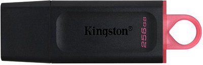 Kingston DT Exodia USB 3.2 256GB Black/Pink F_139720 фото